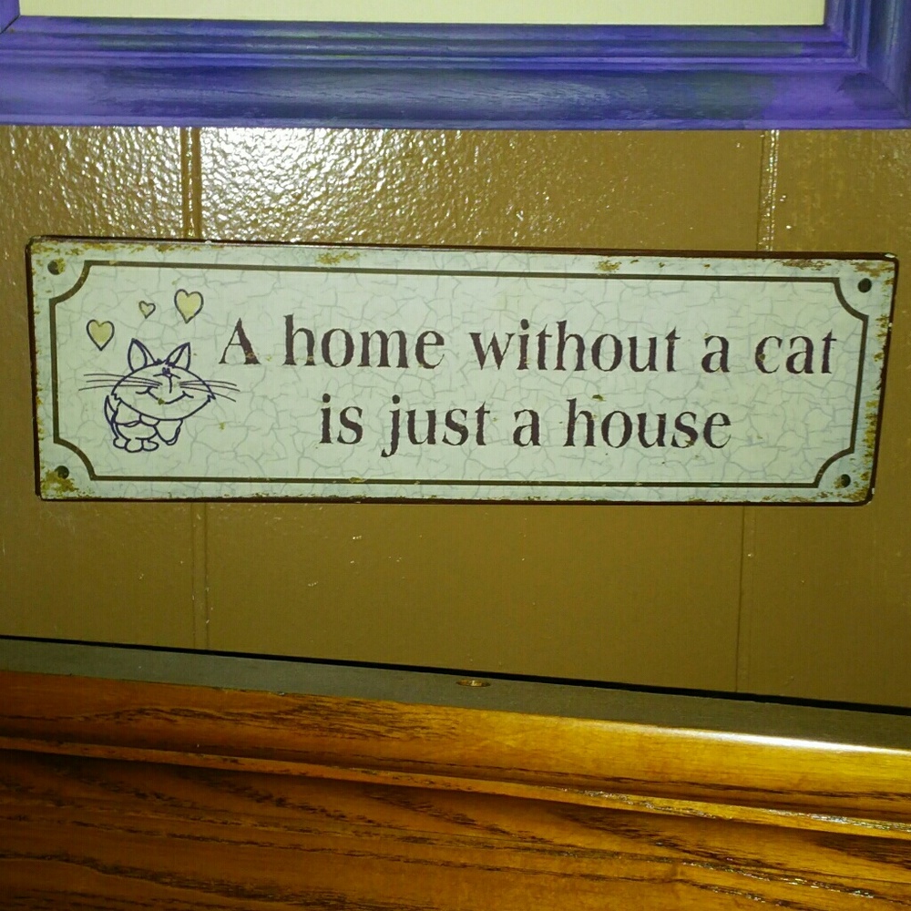 Cute, vintage, metal cat sign